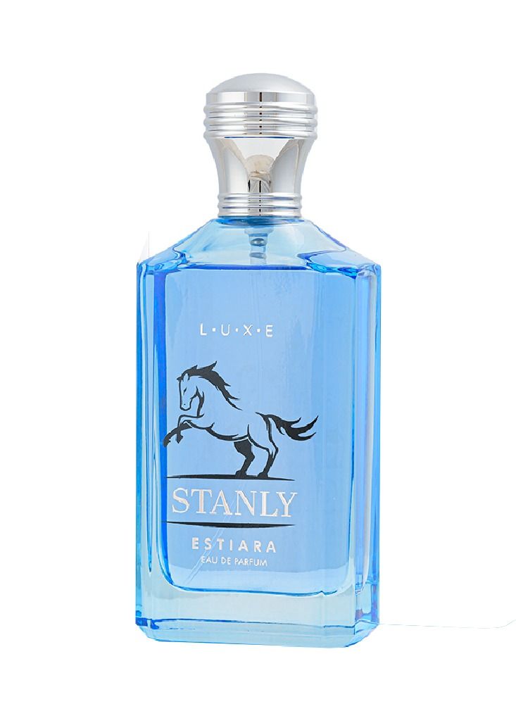 ESTIARA Stanly Eau De Parfum For Unisex 100ml - Image 1