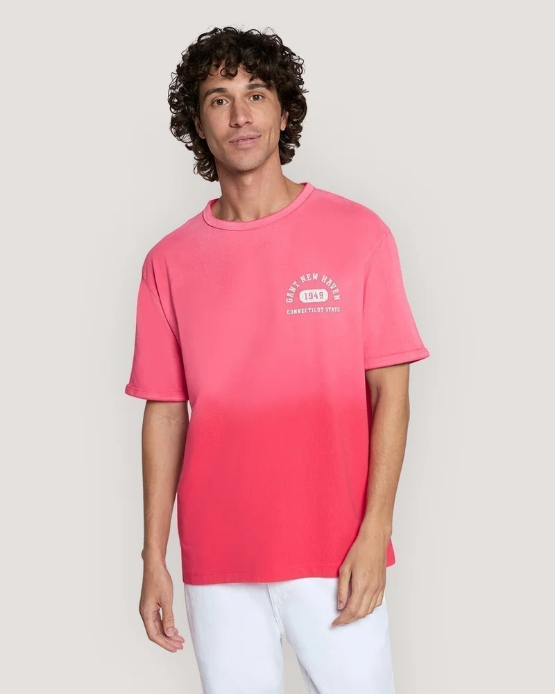 GANT Gant Varsity Worn Graphic T-Shirt