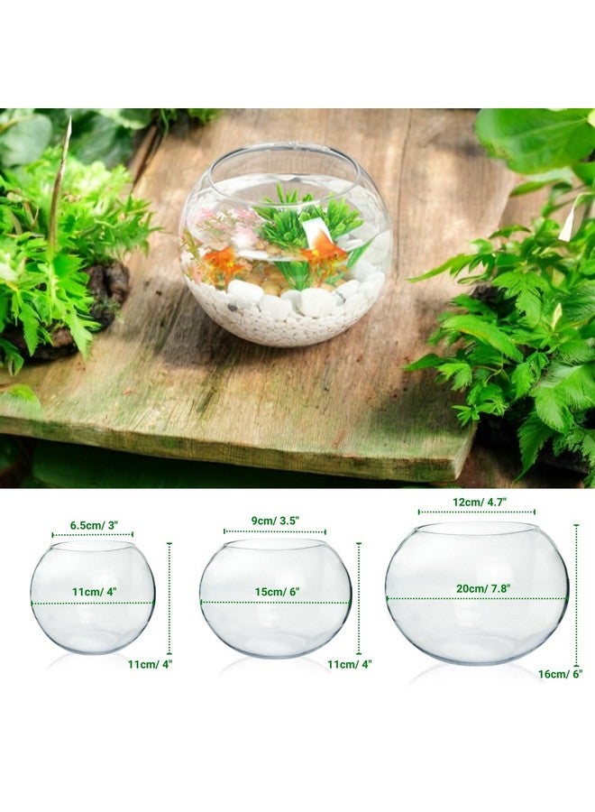 ecofynd Glass Terrarium Bowl, Fish Bowl, Crystal Clear Aquarium Bowl for Fish, Round Bubble Vase for Events, Decorating, Xmas Home Decor, or Office Decor (Pack of 1, 6inch, GB001) - Image 3