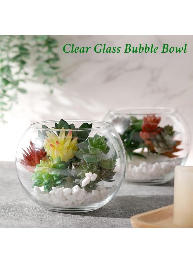ecofynd Glass Terrarium Bowl, Fish Bowl, Crystal Clear Aquarium Bowl for Fish, Round Bubble Vase for Events, Decorating, Xmas Home Decor, or Office Decor (Pack of 1, 6inch, GB001) - Image 5
