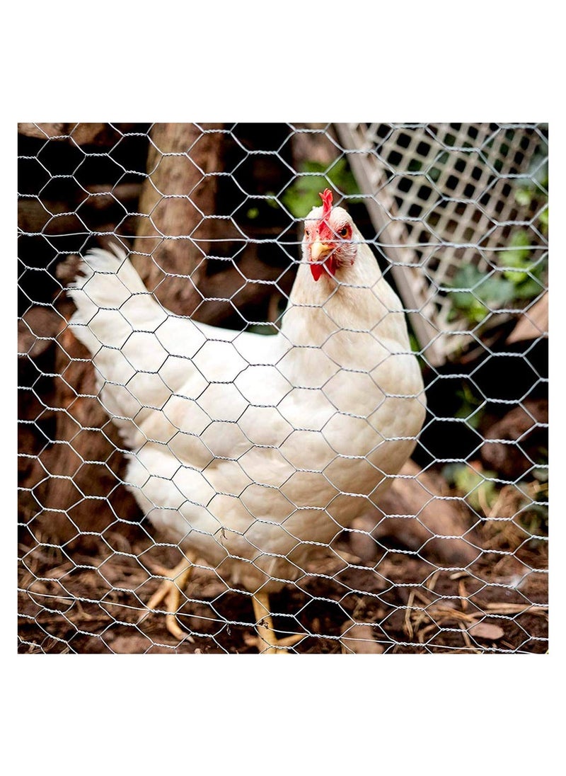 KASTWAVE - Garden Poultry Chicken Wire Netting Galvanized Animal Fence Barrier Hexagonal Wire Mesh Netting for Craft Projects Home Use and Gardening 13.7 x 39.3 Inches - Image 1