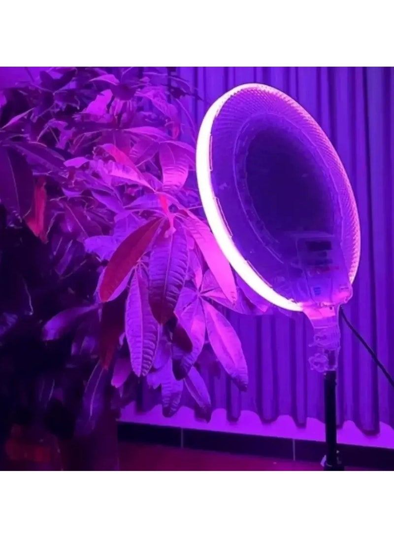 10.5" Dimmable LED Ring Light with Adjustable Stand, 360° Phone Holder, USB Power, 3 Lighting Modes, Perfect for Video Recording and Streaming - Image 5