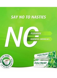 Dabur Basil Toothpaste with brush 150g  - Image 3