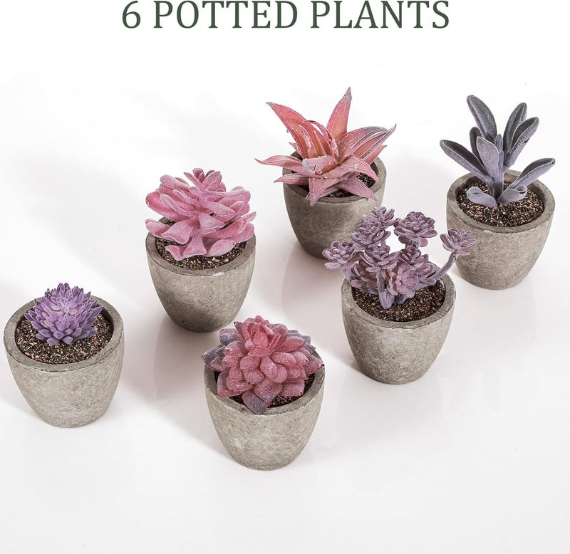 FineCheer Set of 6 Artificial Succulents Potted - Realistic Mini Fake Cactus Plants in Paper Pulp Pots, 2-4'' Mixed Sizes for Farmhouse Shelf, Bathroom, Coatrack Shelf, Bedroom Indoor(Elegant Style) - Image 4