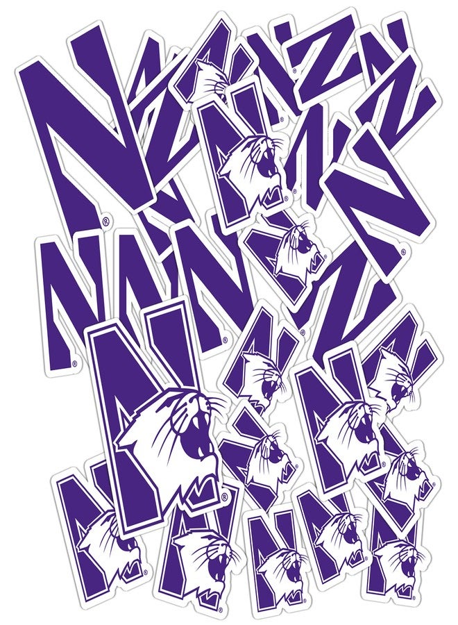 Desert Cactus Northwestern University Sticker Northwestern Wildcats Vinyl Decal Laptop Water Bottle Car Scrapbook Sheet (Type 1-1) - Image 1
