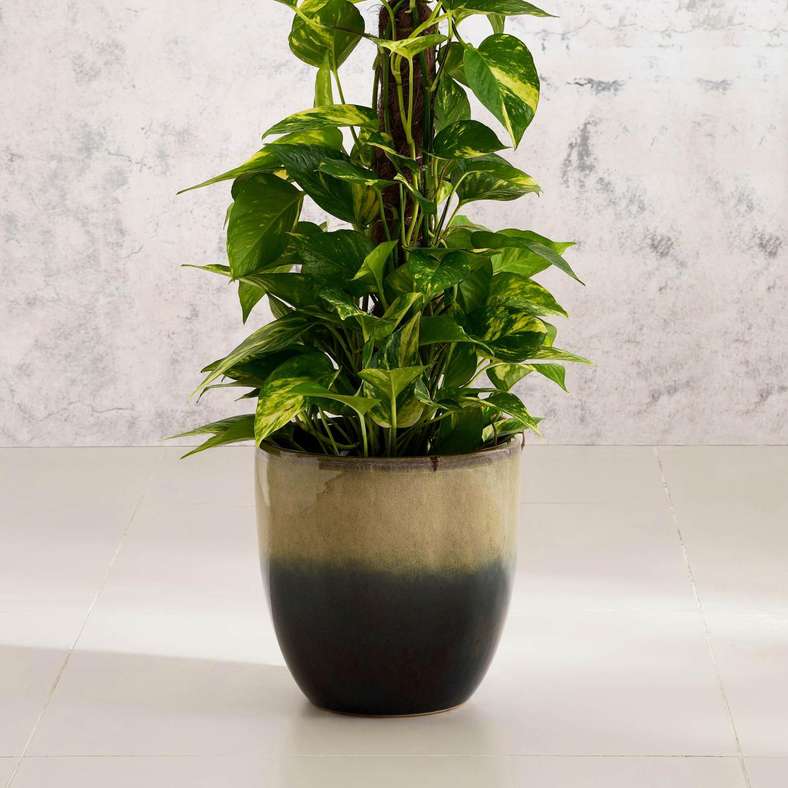 Pan Home Stanely Ceramic Planter 24x24x24cm - Brown