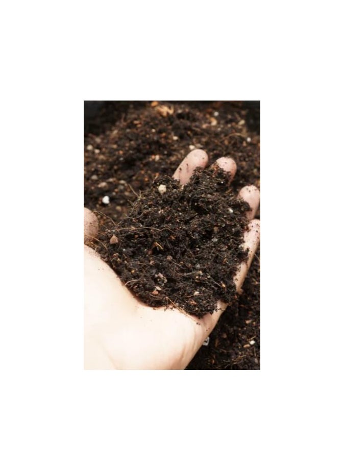 All Purpose Potting Soil (20L)
