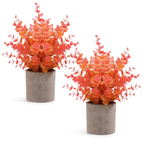 Coferset 2 Pack Fall Small Fake Plants Eucalyptus Potted Artificial Plants Fall Decorations for Home Shelf Office Bathroom Desk Farmhouse Room Coffee Table Decor Fall Decor (Fall Orange) - Image 1