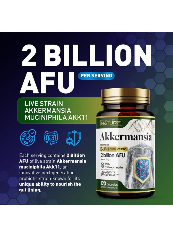 Built by Nature Akkermansia Muciniphila Probiotic Supplement - 2 Billion AFU - Supports GLP-1, Immune & Digestive Gut Health - 120 Delayed Release Capsules - pzsku/ZA5C0F3EBD9E572F08F81Z/45/_/1735907361/325e948d-c8a9-4bc5-beda-b00e1e00b4ab