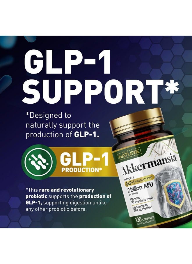 Built by Nature Akkermansia Muciniphila Probiotic Supplement - 2 Billion AFU - Supports GLP-1, Immune & Digestive Gut Health - 120 Delayed Release Capsules - pzsku/ZA5C0F3EBD9E572F08F81Z/45/_/1735907363/b21cd773-7c61-4a8a-8246-31885bea607c