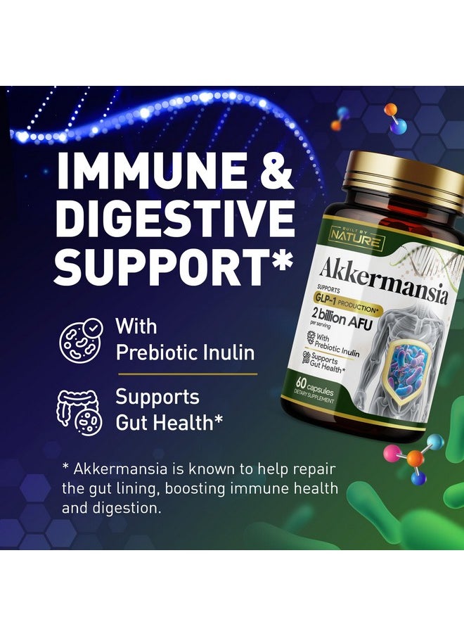 Built by Nature Akkermansia Muciniphila Probiotic Supplement - 2 Billion AFU - Supports GLP-1, Immune & Digestive Gut Health - 120 Delayed Release Capsules - pzsku/ZA5C0F3EBD9E572F08F81Z/45/_/1735907364/a68f6934-c0b2-498b-a86f-3ecd9167a600