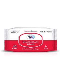 Cool Anti-Bacterial Disinfectant Wet Wipes for Hand and Skin - 40 Wet Wipes  - Image 1