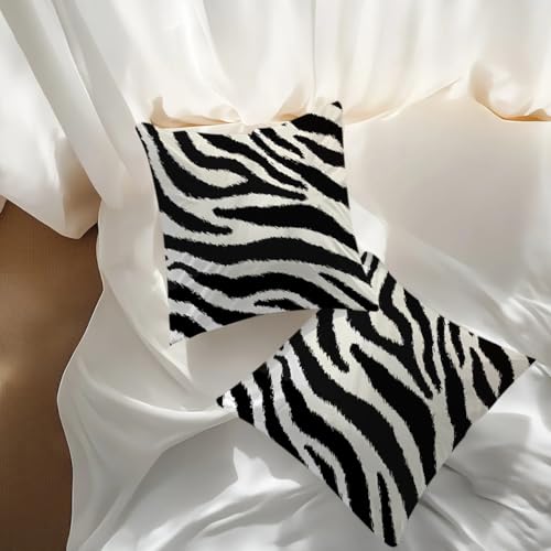 BQXH 2Pcs Zebra Print Striped Pillow Covers, Black White Print Modern Decor Throw Pillow Square Cushion Covers 18x18 inch Nursery Living Room Home Decor for Car Bed Couch - Image 3