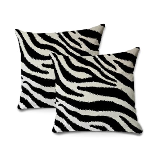 BQXH 2Pcs Zebra Print Striped Pillow Covers, Black White Print Modern Decor Throw Pillow Square Cushion Covers 18x18 inch Nursery Living Room Home Decor for Car Bed Couch - Image 1