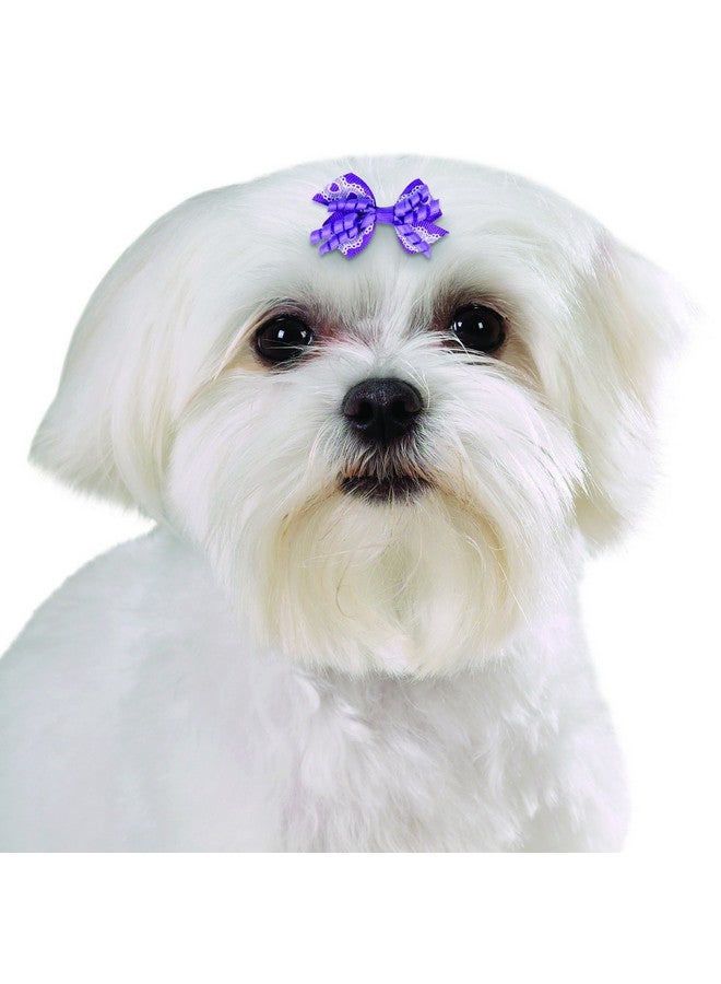 Aria Gracie Bows for Dogs, 48-Piece Canisters - Image 3