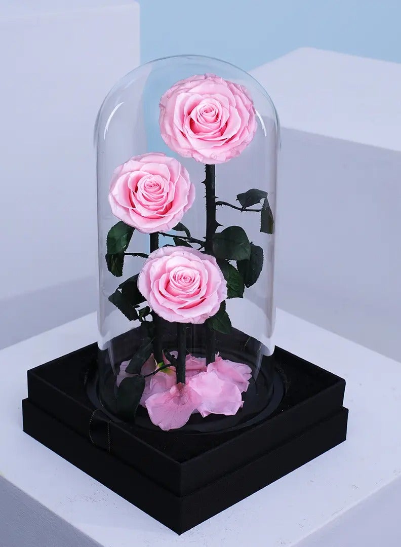 BYYU Forever Pink Roses