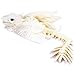 Guwewu Feathered Wyvern Dragon 3D Printed Dragon Articulated Dragon Fidget Dragon 3D Printed Toys Desktop Pet Frostscale - Image 3