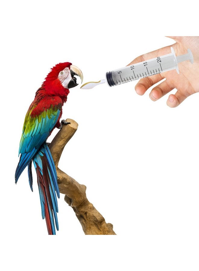 MiDube Small Pet Baby Bird Feeding Syringe with 2pcs 60ml Syringes + 2pcs 20ml Syringes + 4pcs Soft Feeding Spoons, Parrot Chick Pet Feeding Tool, Pet Manual Syringe - Image 2