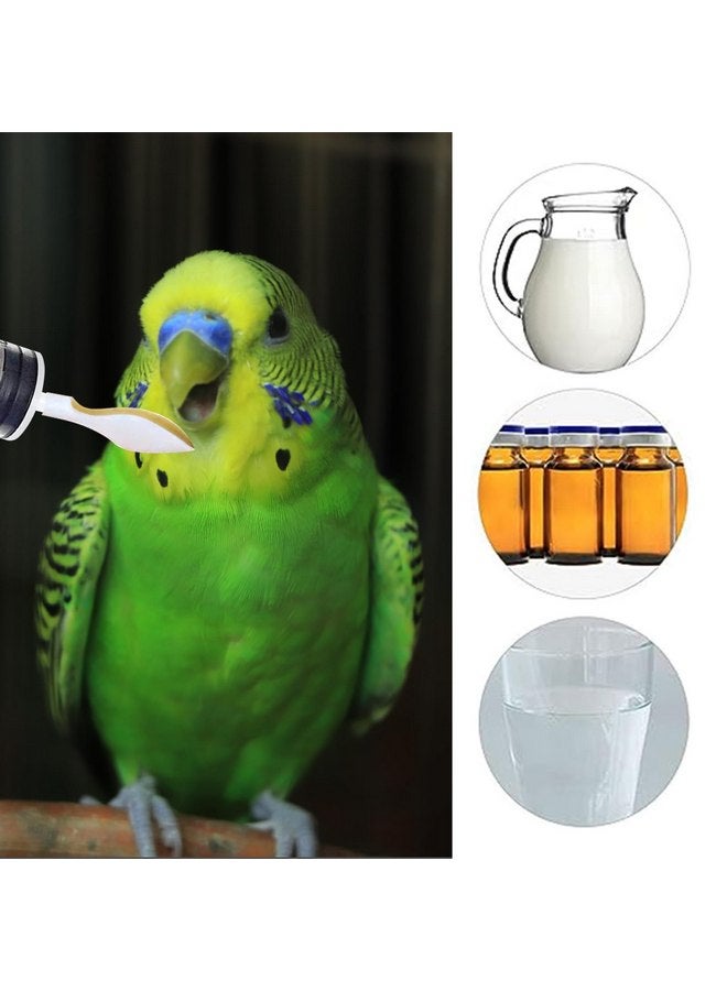 MiDube Small Pet Baby Bird Feeding Syringe with 2pcs 60ml Syringes + 2pcs 20ml Syringes + 4pcs Soft Feeding Spoons, Parrot Chick Pet Feeding Tool, Pet Manual Syringe - Image 4