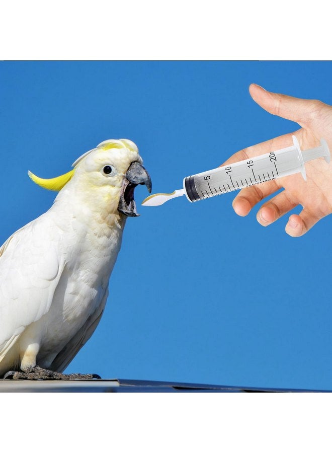 MiDube Small Pet Baby Bird Feeding Syringe with 2pcs 60ml Syringes + 2pcs 20ml Syringes + 4pcs Soft Feeding Spoons, Parrot Chick Pet Feeding Tool, Pet Manual Syringe - Image 3
