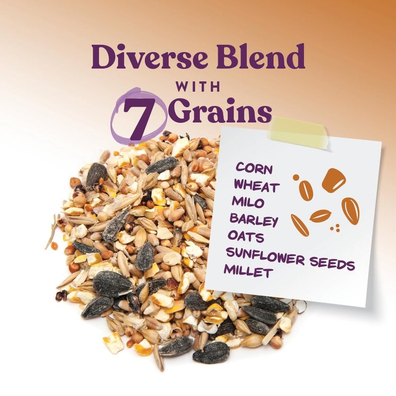 Manna Pro 7-Grain Ultimate Chicken Scratch â€“ Non-GMO Scratch Grain Treat for Chickens, Hens and Other Birds â€“ Natural Multigrain Blend for Poultry and Backyard Flocks â€“ 10 lb Bag - Image 3