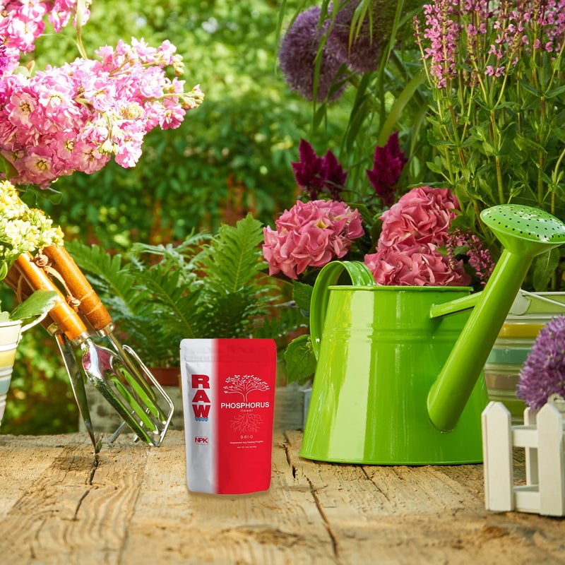 RAW Phosphorus 2 oz - Image 2