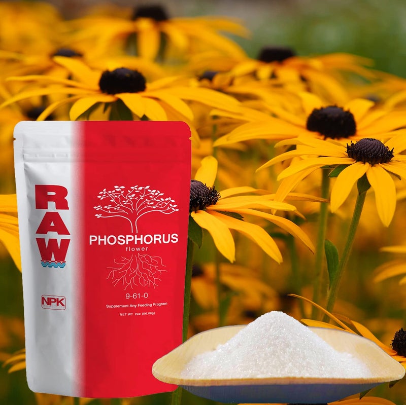 RAW Phosphorus 2 oz - Image 3