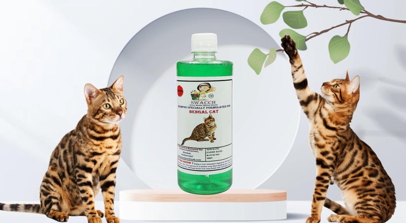 Swacch Shampoo Specially Formulated for Bengal Cat (500ml) Neem Alovera - Image 2