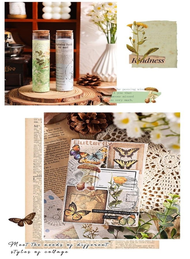 SAMVARDHAN Vintage Style Aesthetic Sticker Books Set, 40 Sheets Each, Galactic Blueprint, Natural Green, Light Man Brown Butterfly, Book of Images, DIY Crafts,Journaling & Scrapbooking, Pack of 4 - Image 5