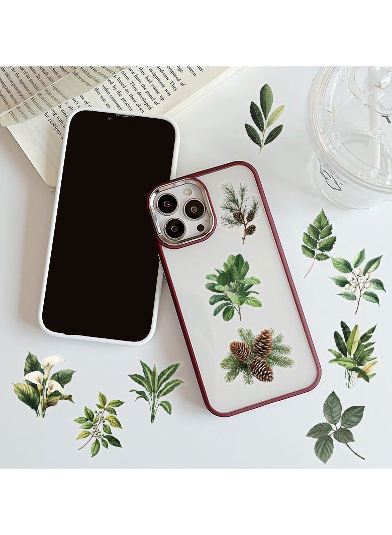 قوس قزح أورينبو 50 قطعة من ملصقات أوراق الشجر الخضراء - مجموعة ملصقات شفافة لأوراق الربيع بتصميمات فنية لزجاجات المياه وسجلات القصاصات والكمبيوتر المحمول ولوازم الحفلات - Image 3