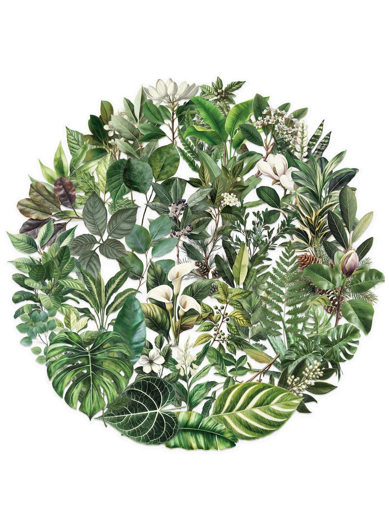 قوس قزح أورينبو 50 قطعة من ملصقات أوراق الشجر الخضراء - مجموعة ملصقات شفافة لأوراق الربيع بتصميمات فنية لزجاجات المياه وسجلات القصاصات والكمبيوتر المحمول ولوازم الحفلات - Image 1