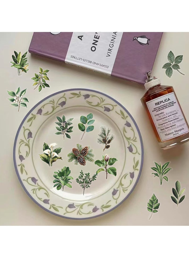 قوس قزح أورينبو 50 قطعة من ملصقات أوراق الشجر الخضراء - مجموعة ملصقات شفافة لأوراق الربيع بتصميمات فنية لزجاجات المياه وسجلات القصاصات والكمبيوتر المحمول ولوازم الحفلات - Image 2