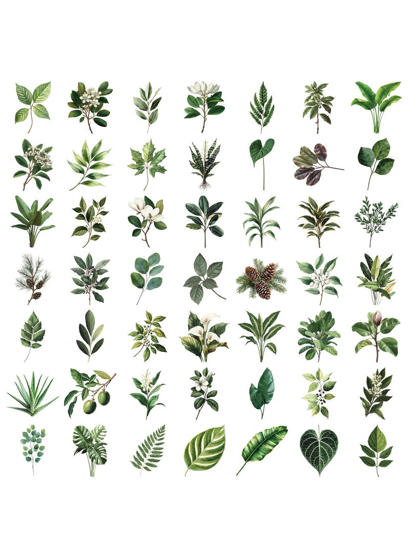 قوس قزح أورينبو 50 قطعة من ملصقات أوراق الشجر الخضراء - مجموعة ملصقات شفافة لأوراق الربيع بتصميمات فنية لزجاجات المياه وسجلات القصاصات والكمبيوتر المحمول ولوازم الحفلات - Image 4