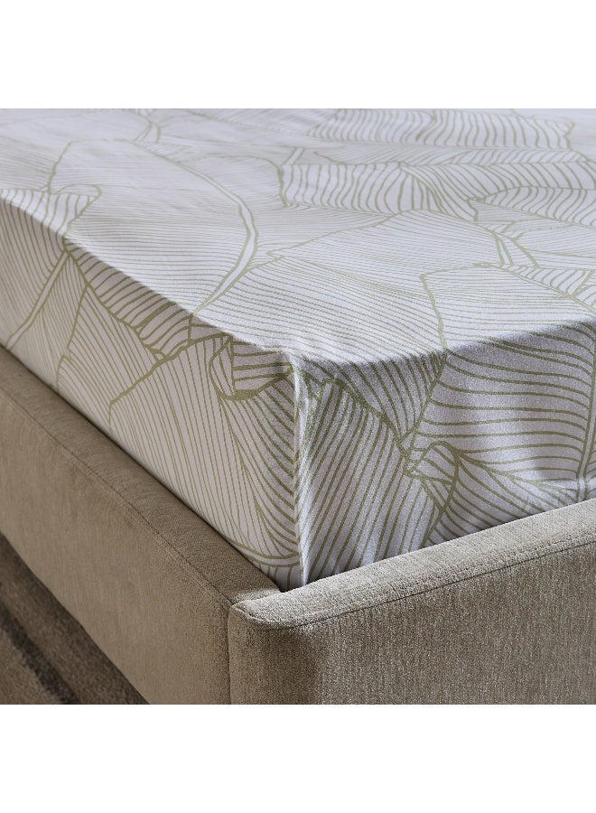 Home Box Malta Musa Printed Cotton Twin Fitted Sheet - 120x200+33 cm - Image 1
