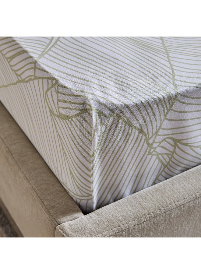Home Box Malta Musa Printed Cotton Twin Fitted Sheet - 120x200+33 cm - Image 4