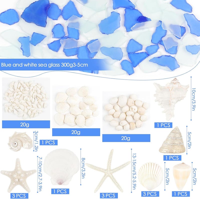 Fangoo فانغوو (Fangoo) – أصداف بحرية مختلطة مع حيوانات بحرية حقيقية، وزن 10 أونصات، زينة من الزجاج البحري، مناسبة لزينة حفلات الزفاف على الشاطئ، أو للديكور المنزلي أو الحرف اليدوية أو تزيين أحواض الأسماك. - Image 2