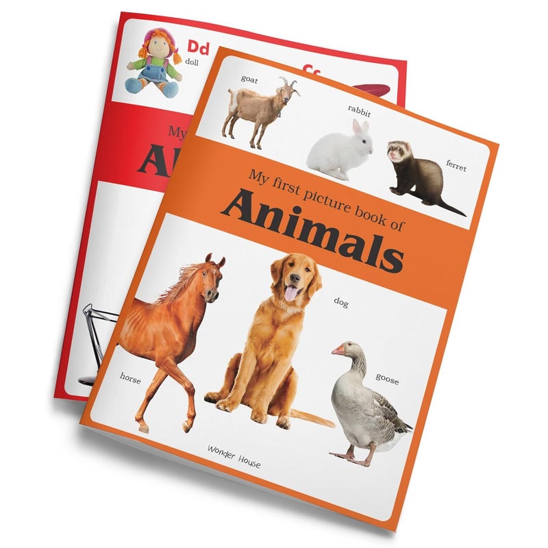 Early Learning Picture Books : Pack of 12 Picture Books for Kids - Image 5