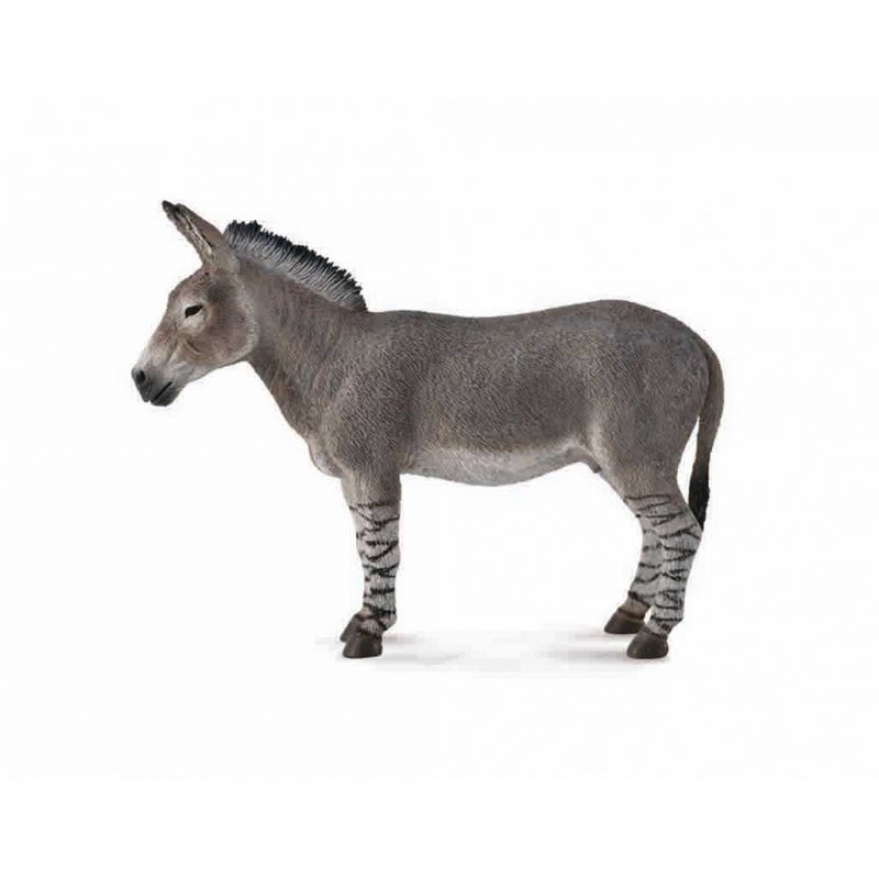Collecta - African Wild Donkey - 88664