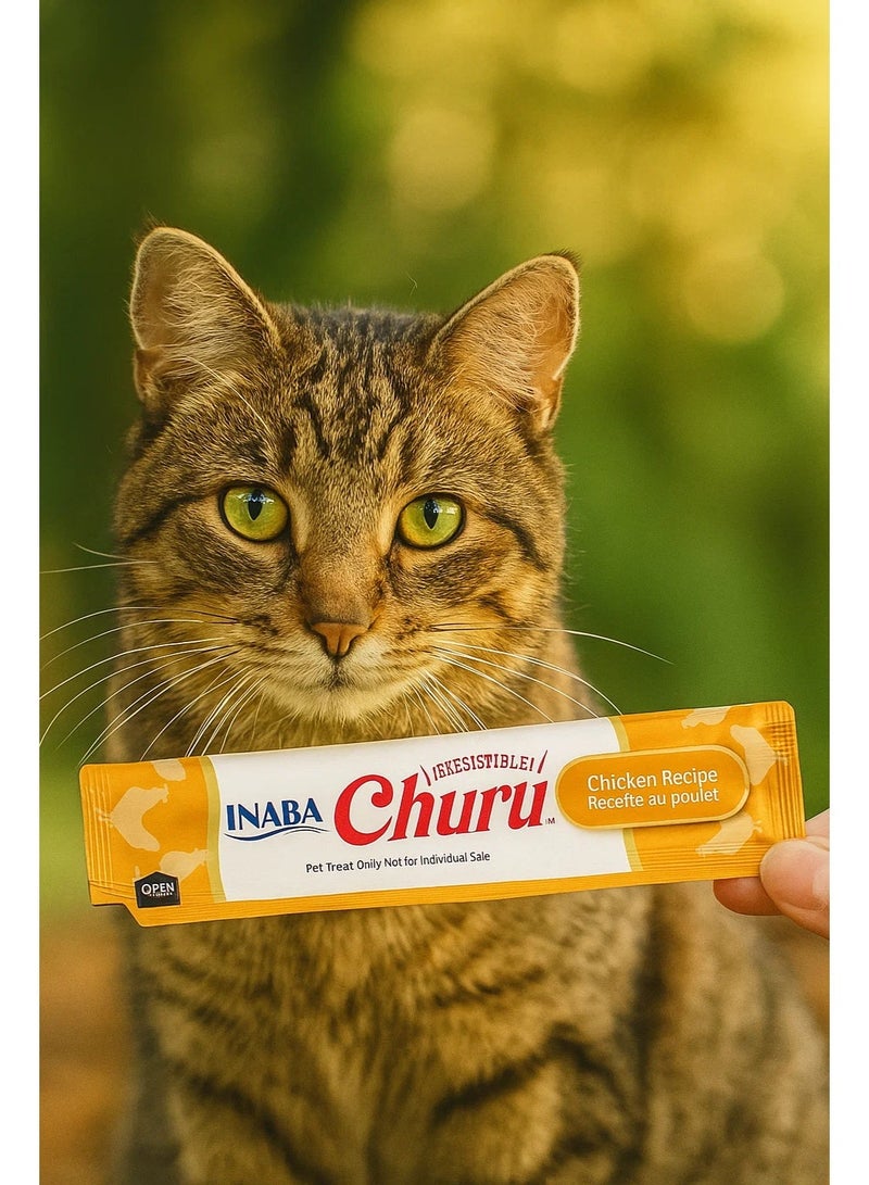 INABA 5 packs Cat Treats – Chicken Recipe (5 pcs × 14g) - Image 1