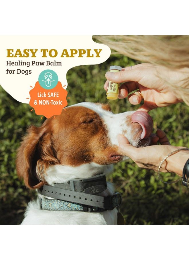 Natural Dog Company - Wrinkle Balm for Dog Wrinkles (0.15 oz) All-Natural, Lick-Safe Dog Lotion for Dry Itchy Skin, French Bulldog Skin Care, Moisturizes & Cleans Wrinkle Folds, Plant-Based, Made in USA - Image 1