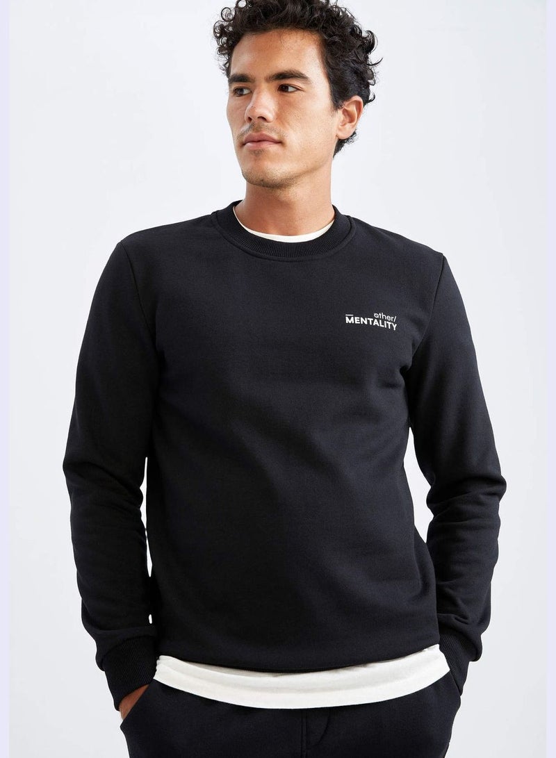 DeFacto Man Slim Fit Crew Neck Knitted Sweat Shirt - Image 1
