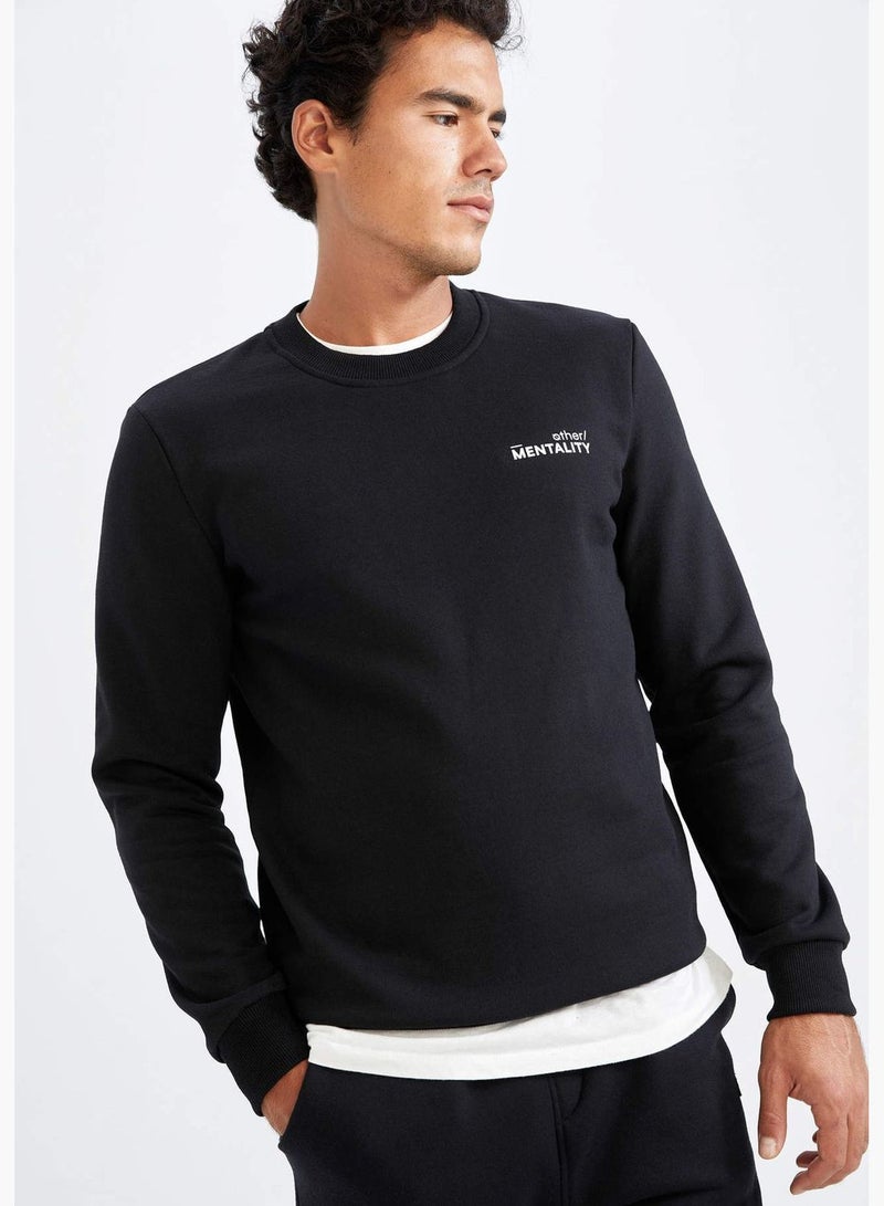 DeFacto Man Slim Fit Crew Neck Knitted Sweat Shirt - Image 3