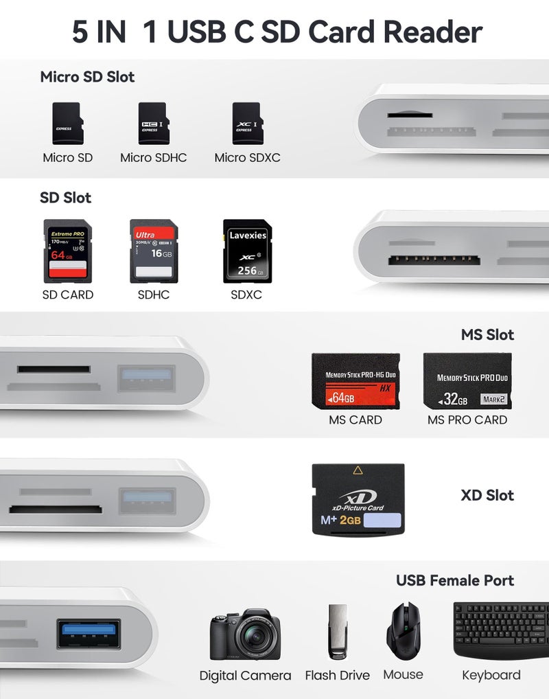 Oyuiasle USB C SD Card Reader, USB-C to SD MicroSD XD Picture MS Memory Stick Cards, Type C 5 Slots Memory Card Adapter for iPhone 15 iPad Mac Laptop MacBook and Android Galaxy More USBC Devices - Image 3