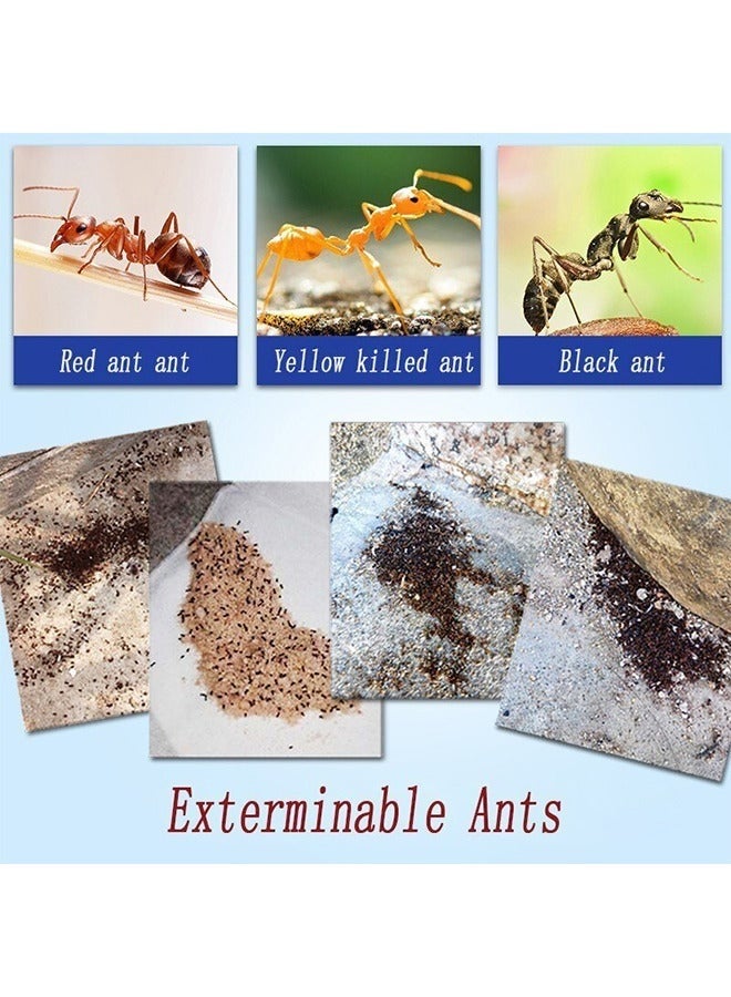 10PCS Effective Ant Killer Gel Baits Trap for Household Use Indoor Killing Red Black and Yellow Ants - Image 5
