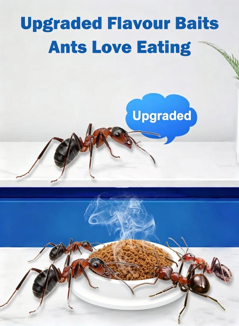 10PCS Effective Ant Killer Gel Baits Trap for Household Use Indoor Killing Red Black and Yellow Ants - Image 4