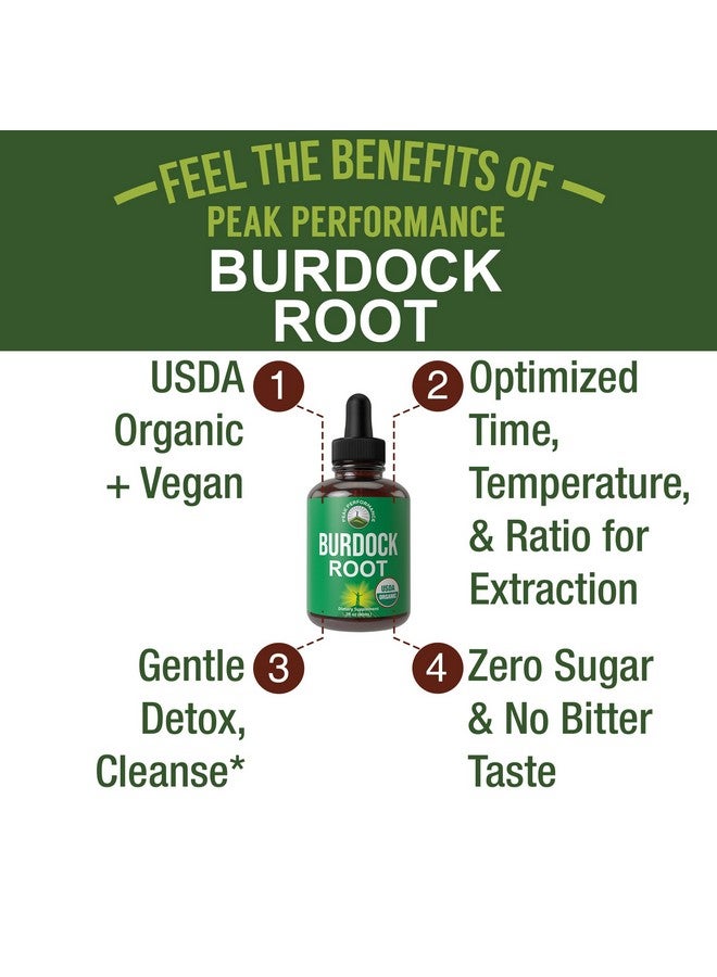 Peak Performance USDA Organic Burdock Root Liquid Drops Supplement. Vegan Extract Tincture for Women and Men. Organic Burdock Root Oil Herb. Zero Sugar, Gluten Free Supplements - Image 2
