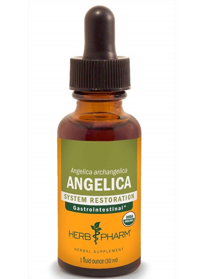 HERB PHARM Certified Organic Angelica Root Liquid Extract for Digestive Support, 1 Fl Oz - Image 1
