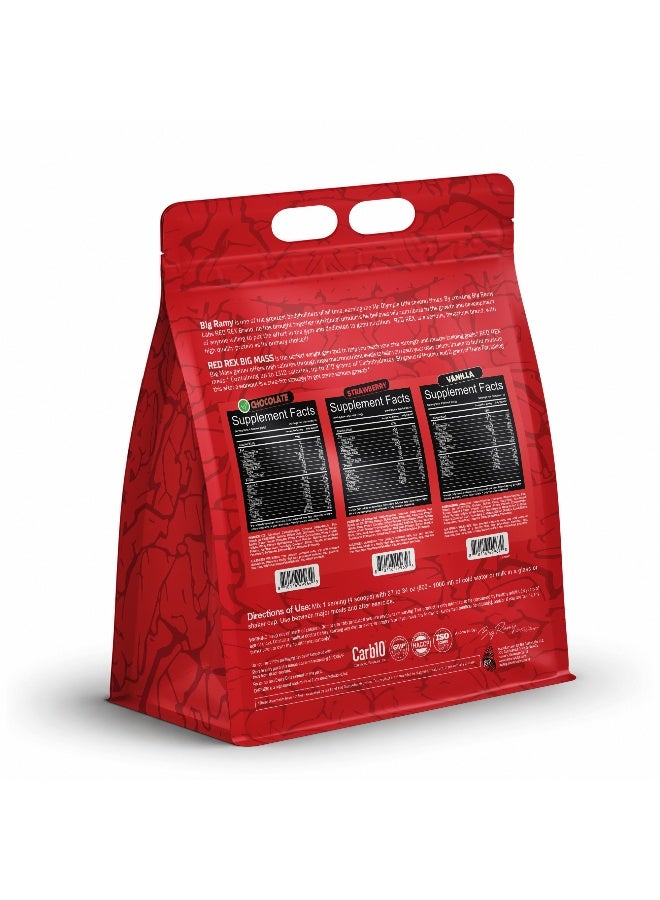 RED REX Big Mass Gainer Powder - Chocolate Flavor - 12lb (5.44kg) - for Muscle Growth & Recovery - Image 2
