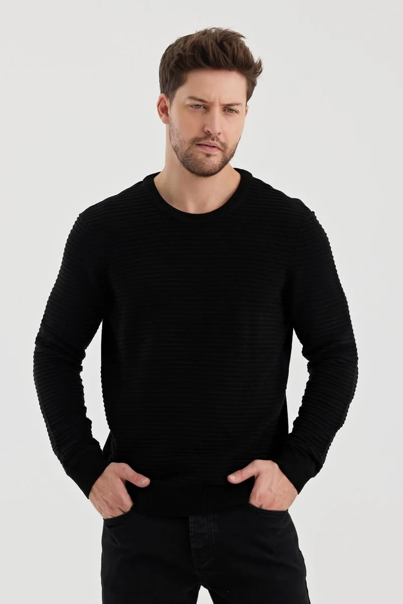 الكسندر جاردي Alexandergardi Crew Neck Striped Textured Regular Fit Sweater (E24-EZE-10)