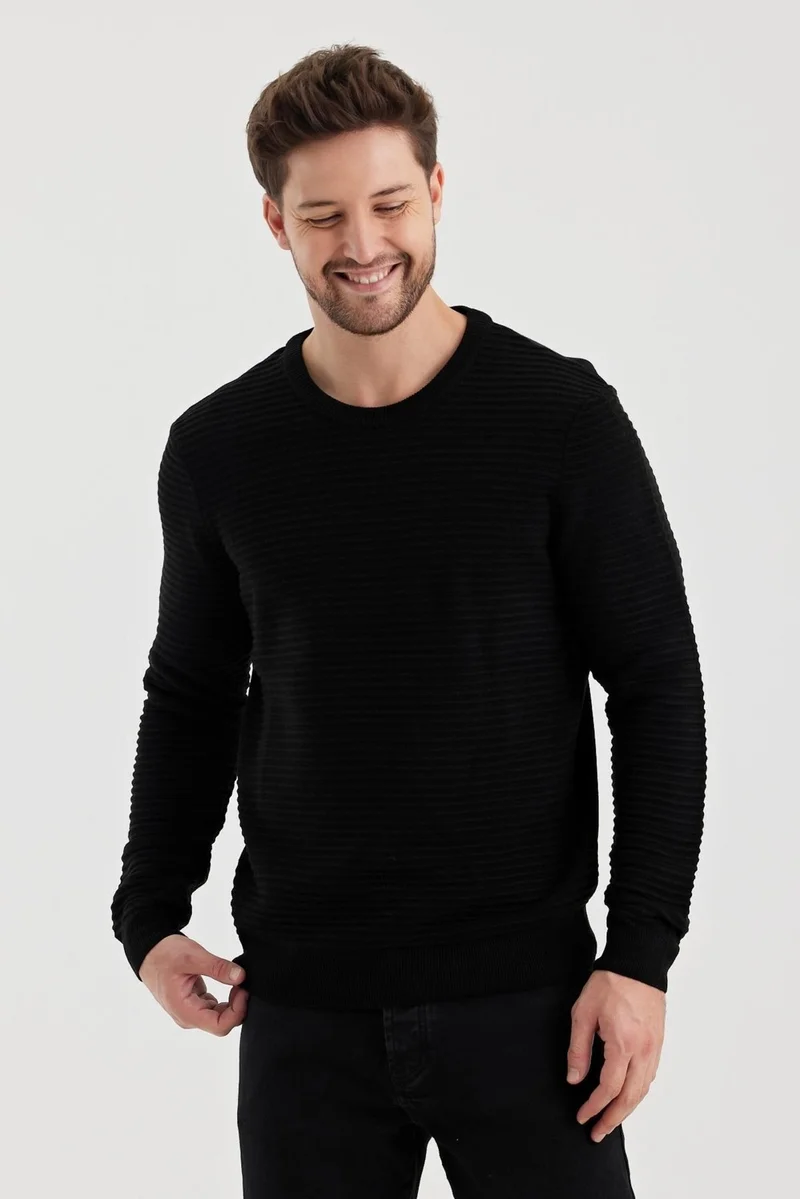 الكسندر جاردي Alexandergardi Crew Neck Striped Textured Regular Fit Sweater (E24-EZE-10)